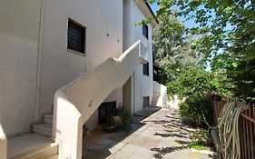 Antique Apartment 2